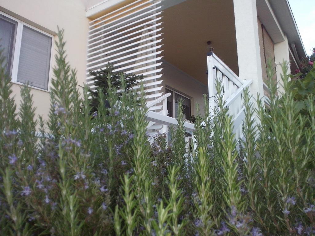 Kuca Za Odmor Laura Apartment Ražanac Exterior foto